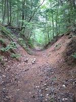 IMG 20190730 144545627