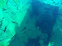 IMG 20190730 165243457