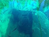 IMG 20190730 165247139