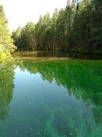 IMG 20190730 170218555