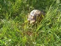 IMG 20200525 090812827