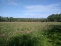 IMG 20200525 092048338