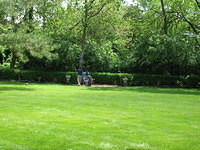 Mari's Zen backyard.