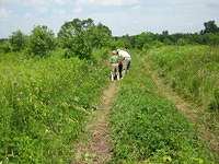 The trail was just some tire ruts.
