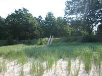 These are the stairs leading down to the beach.