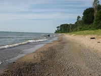 Our stretch of beach, looking toward the north.