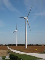 Close-up view. They are huge!